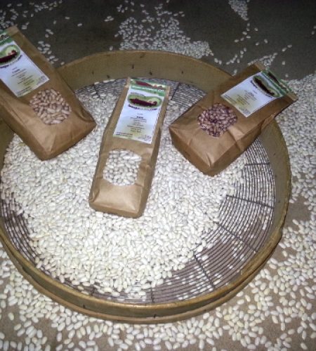 El producto final son los saquitos de 1 Kg de alubias que comercializamos. En esta foto se ven 3 de estas bolsas sobre una ceranda: el instrumento tradicional con el que se criban las legumbres.